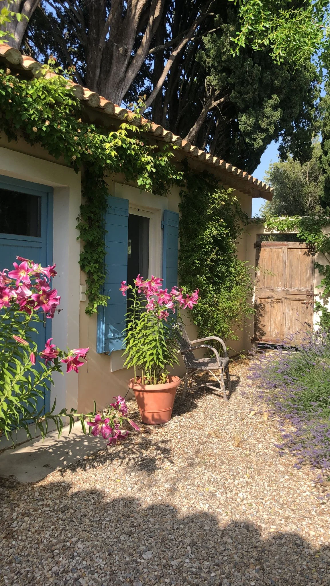 Appartamento 3 - Residenza Il Veliero